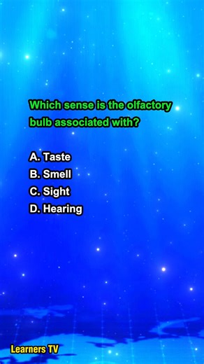 Which sense is the olfactory bulb associated with? #learnestv #education #learning | Learners TV