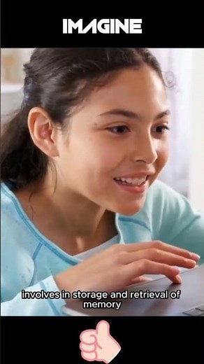 Human Brain I Parts and function