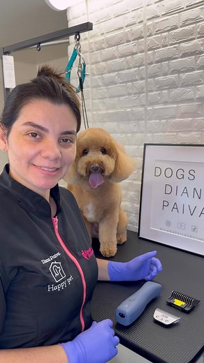 Testing out my new Andis clipper eMERGE with wide blades and loving t... #doggrooming #doggroomerlife #doggroomer | Lissa July