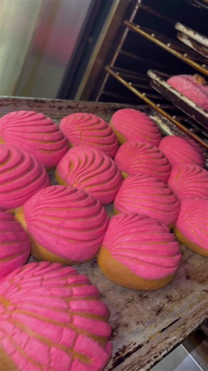 Watch how we bake our handmade conchas topped with pink candy here at our family owned bakery where all our sweet bread is made fresh with authentic traditional recipes from Guadalajara Mexico
