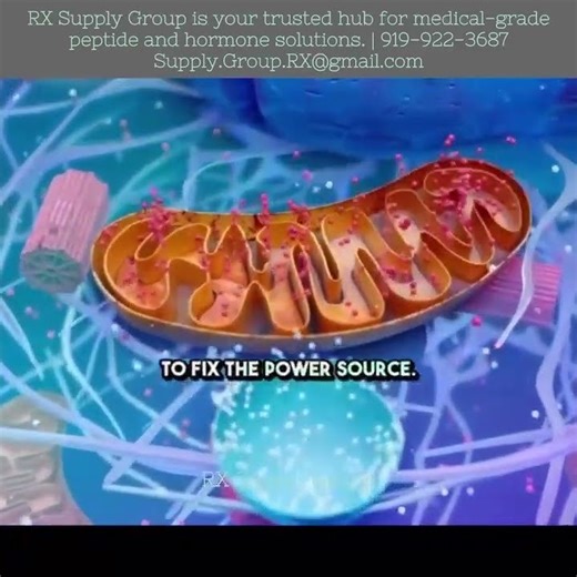 What Makes SS-31 Different from Other Peptides? What Should Providers Know About SS-31 Peptides?
