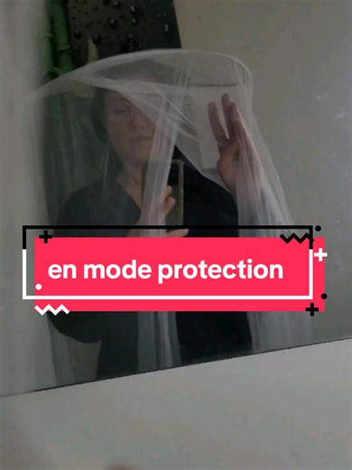 Caring for Baby Conures: Protection and Preparation