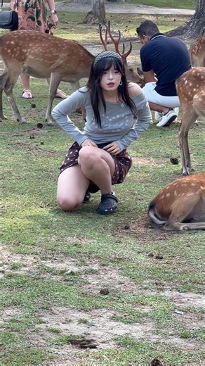 🦌 日本の女の子たちと奈良の鹿❤️ 可愛すぎる癒しの瞬間！#奈良公園 #奈良の鹿 #鹿 #NaraPark #NaraDeer #JapanTravel #Japan #日本旅行 #観光 #癒し