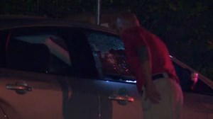 Cannon Blast at Party Wounds Three