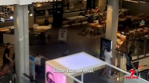 A gang of youths has launched an attack on a teenager in a shopping centre at Glebe. They threw chairs at their victim, with one chair falling to the ground floor and narrowly missing Christmas shoppers at Broadway. | 7NEWS Sydney