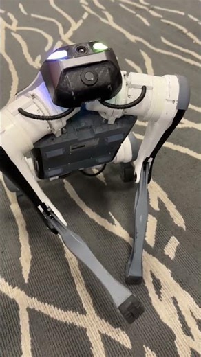 Este perro robot también hace piruetas, ¿quieres ver?