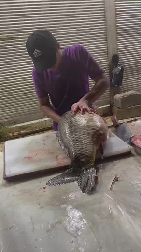 How to Fillet a Large Fish: Step-by-Step Guide