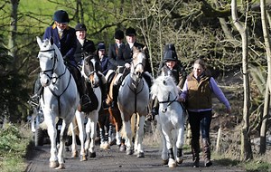 Always wanted to try hunting? Have a go during newcomers' week - Horse & Hound