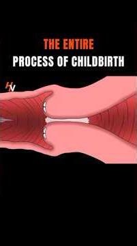 the entire process of childbirth animation #childstories #childbirthstory #shorts