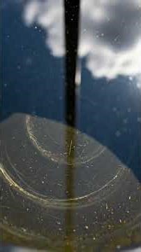 Green Algae in Water? Paint Your Rain Barrel Black! | Garden Tips