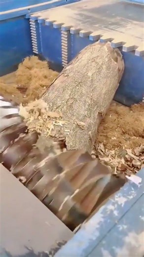 Stripping Bark From Large Wood Logs Efficiently Using an Automatic Industrial Debarking Machine