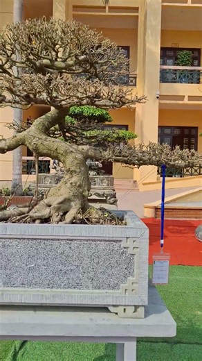 CCNT Nam.Cao Nhan Ha 26