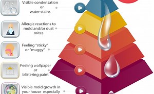 What's the Recommended Humidity Level for a House?