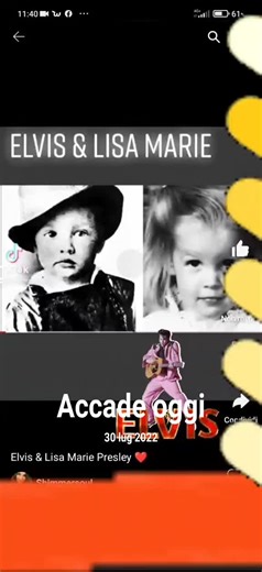 Dino Zucchetto su TikTok