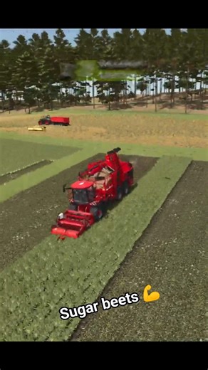 Holmer Terra Dos T5-40 in Farming Simulator 25