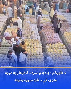 د طورخم د بندیدو سره د ننګرهار په میوه منډۍ کې د تازه میوو نرخونه #Graps #FreshFruitPrice #UnblivablePrice ofFruitInAfghanistan #Banana #Apple #Pomegranate #FruitMarket #Afghanistan | Muhammad Yahya