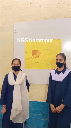 KGS Karampur Explains Human Organ Systems