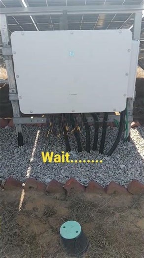 sungrow working 😱😱 #rajasthan #farming #ekmotahathighumechala