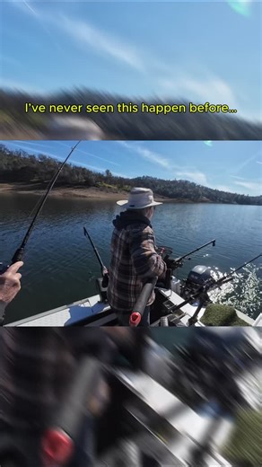 A fun surprise we did NOT expect 👀 Ever had a moment like this on the water? | Catch America