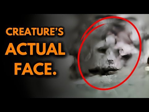 Bigfoot Caught Watching Them in New Zealand’s Deep Woods