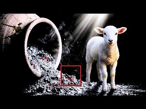 THE TRUE ORIGIN OF EASTER | ASHES AND THE LAMB