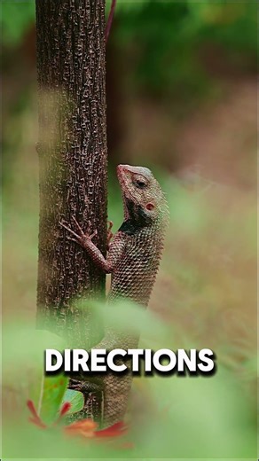 5 Animal Abilities That Look Like Superpowers 🐾 #shorts