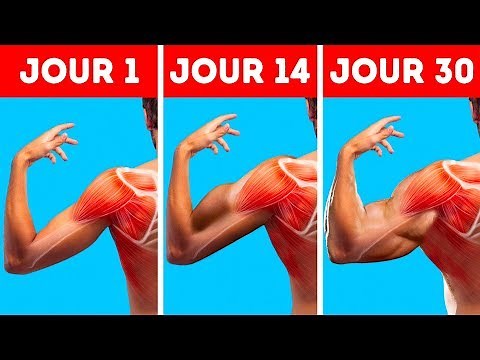 6 Exercices Rapides Pour Avoir de Plus Larges Épaules