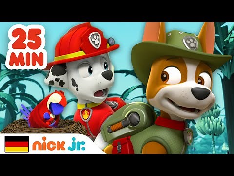 PAW Patrol Dschungelrettungen für 25 Minuten! | Nick Jr. Deutschland
