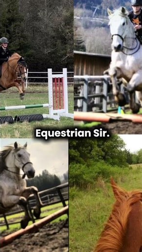 ExUsE mE! #fypシ #horse