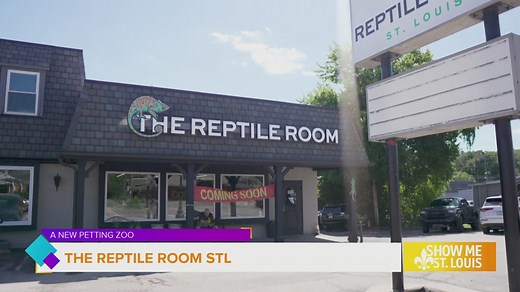 The Reptile Room STL opens as Manchester's new hands-on reptile zoo