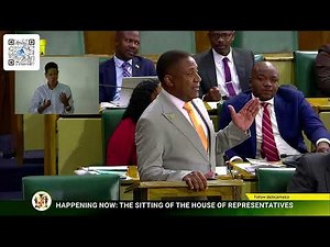 PNP MP Phillip Paulwell Sectoral Debate