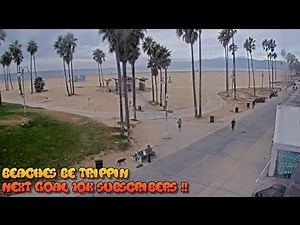 Venice Beach Webcam - Venice Beach Live Cam - venice beach live boardwalk cam