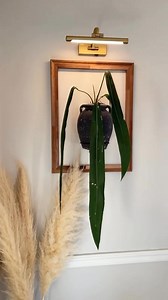 341K views · 7.4K reactions | Do you use plants as art? The light...