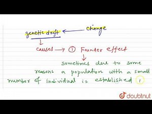 What is meant by founder effect? | 12 | MECHANISM OF EVOLUTION | BIOLOGY | SANTRA PUBLICATION | ...