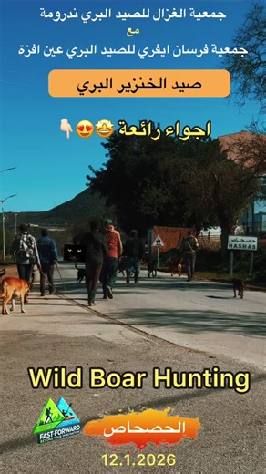 فيديو جديد و مشاهد رائعة🤩 في إطار توأمة الصيد بين جمعية الغزال ندرومة و جمعية فرسان إيفري عين فزة 🐗 2026.1.12 الفيديو ينقل أجواء الاستراحة و تناول وجبة الغذاء بمنطقة الحصحاص ندرومة ، في جو أخوي رائع يجمع الصيادين و الحمالين بمختلف الأعمار🤩 لحظات عفوية تعكس روح العائلة و التقاليد الميدانية. ‏FAST FORWARD 🎬 🎥 Warm moments from a new video As part of the joint hunting experience between El Ghazal Nedroma Association and Ifri Ain Fezza Association 🐗 The video captures break and lunch moments i