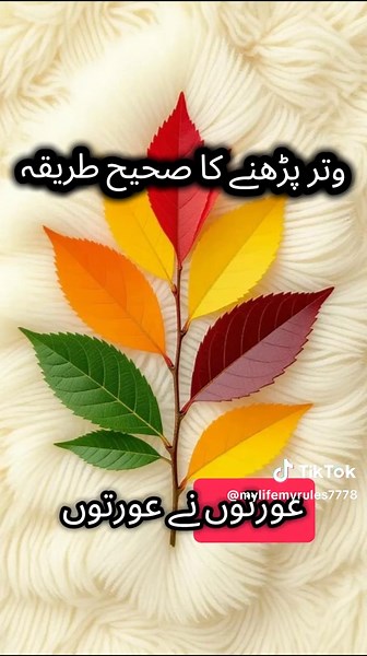 Correct Method for Reading Witr Prayer