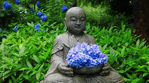 traditional Japanese Buddha statue in a shrine in Japan with hydrangea flowers, stone buddhist statue in Japanese garden