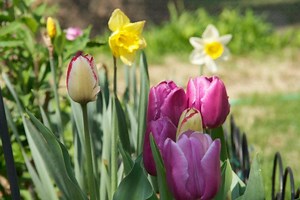 When First Day Of Spring Arrives: 5 Need-To-Know March Dates