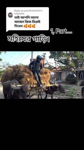 Replying to @user454465137 মহিষের গাড়ি Free Motion #free_motion_by_firoz_hasan♥ #SupportHumanity #bdtiktokofficial #tiktoofficialpage🙃 #fypシ゚viral🖤video🤗foryou😍