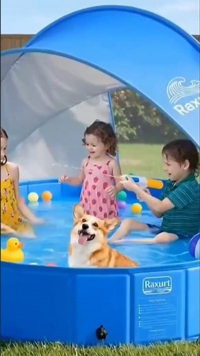Kids Swimming Pool Fun 💦 | Best Summer Water Play for Kids!