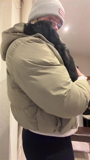 Heartwarming Moments with My Black Labrador Shayla