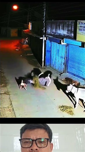 chúchógiữcửanhà nữađêm#trending love#youtubeshorts#trending#viral#song#viralvideo#short#funny#comedy