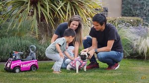 The dog catcher | Aaron's Animals