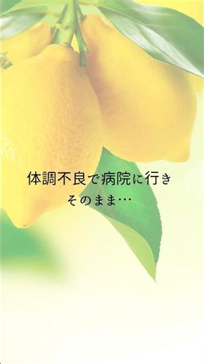 【お空のペット】あなたを守るために… #アニマルコミュニケーション #アニマルコミュニケーター #魂の進化 #ペットロス #スピリチュアルヒーラー #shorts #タロットカード