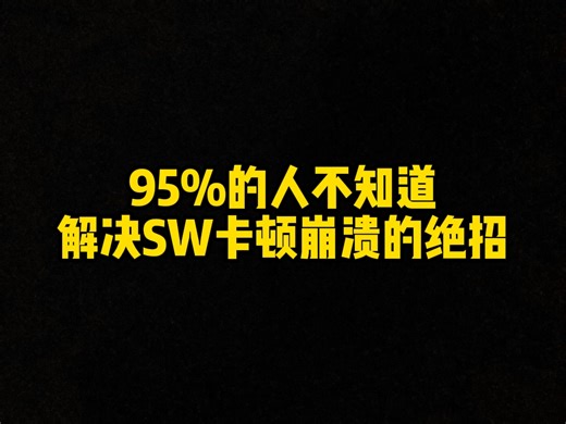 95%的人不知道解决SW卡顿崩溃的绝招