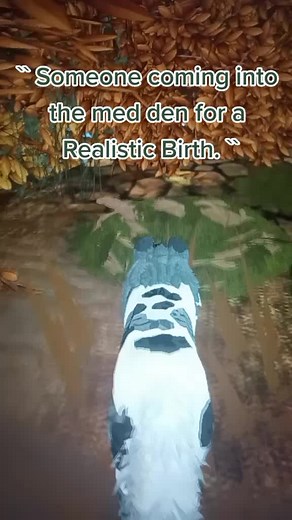 Realistic Warrior Cats Ultimate Edition Birth Scene