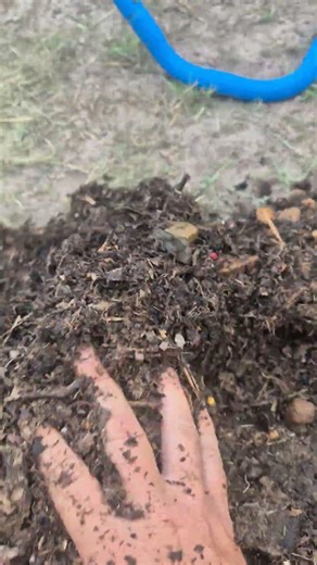 biggest potato harvest you've ever seen!!