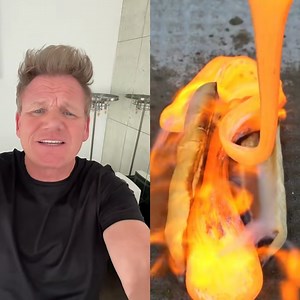 500K views · 3.7K reactions | No one is safe from Gordon Ramsay 藍 | FOODbible | Facebook