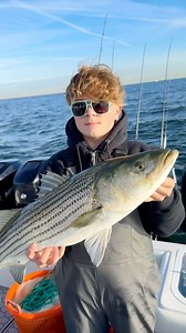 Fresh releases….. bass fishing this year has been absolutely insane! @pennfishing @pelagicgear @afwhiseas @mercurymarine @bajiosunglasses #njfishing #atlanticocean #njfishinglife #fishing #stripers #stripedbass #stripedbassfishing #boats #schoolfish | Fish Circus