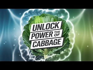 The Nutritional Benefits of Cabbage Explored